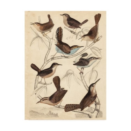 Milne 'Avian Habitat Vi' Canvas Art,14x19